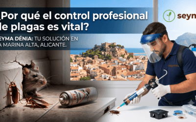 ¿Cucarachas o ratas en casa? Por qué los remedios caseros no bastan en la Marina Alta…